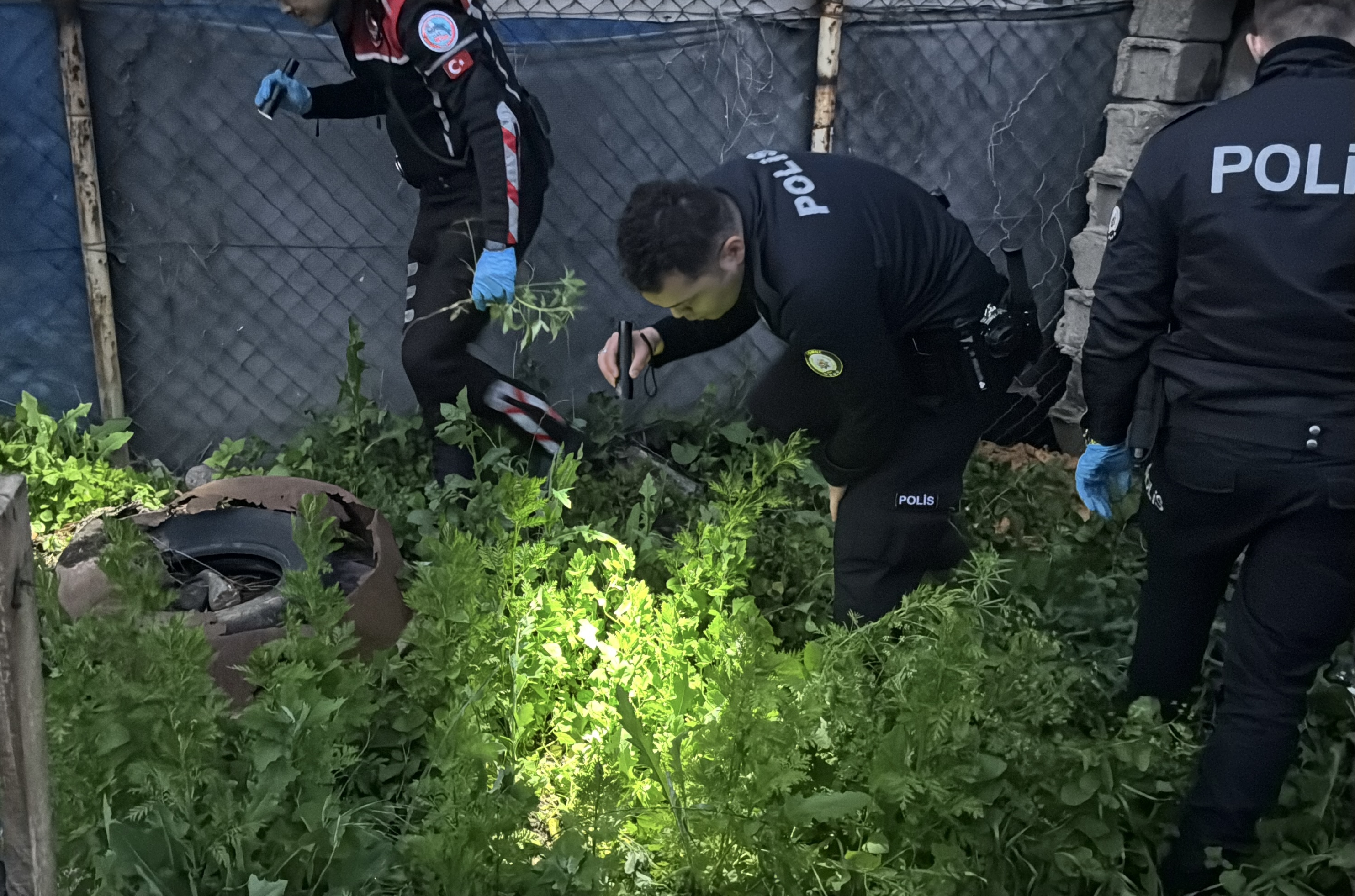 Edirne’de kimlik kontrolünden kaçan şüphelinin evinde 90 kök Hint keneviri ele geçirildi