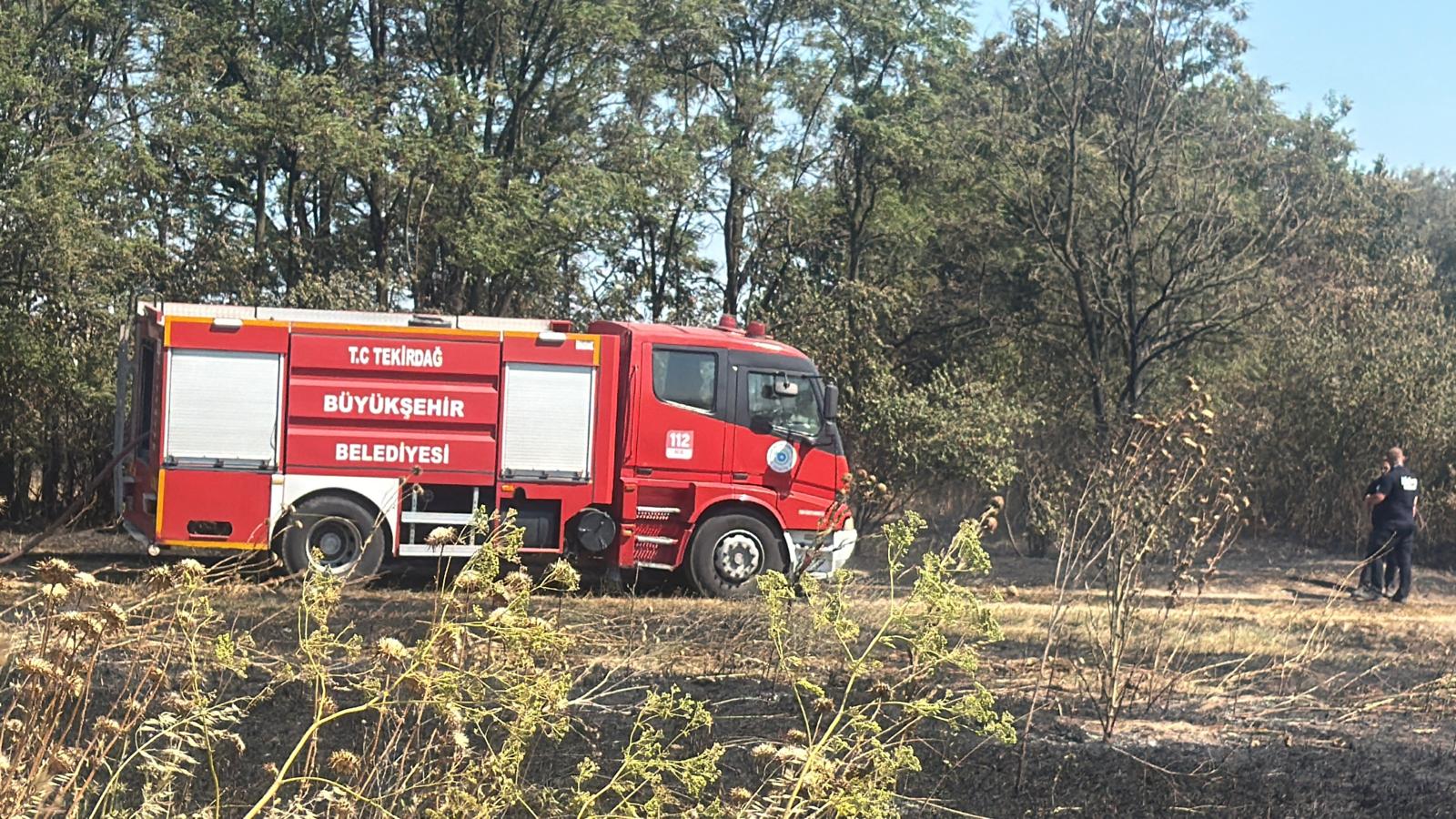 Tekirdağ'ın Ergene ilçesinde otluk alanda çıkan yangın söndürüldü.