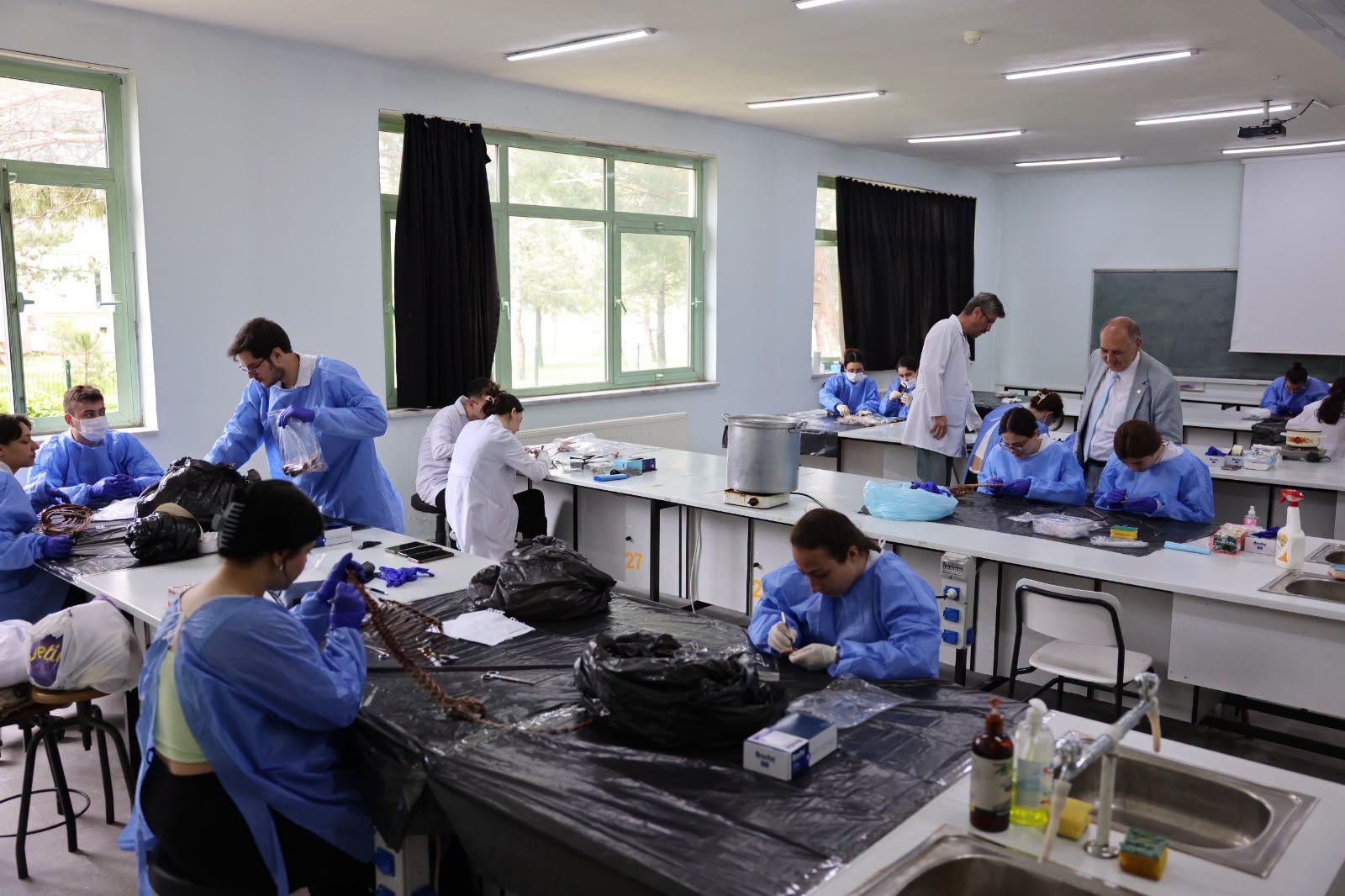 Trakya Üniversitesi Fen Fakültesi Biyoloji Bölümü öğrencileri, Makropreparasyon dersinde doğada hayatını kaybeden hayvanları bilimsel yöntemlerle iskeletleştirerek hem uygulamalı eğitim alıyor hem de Doğa Tarihi Müzesi'nin 40 yılı aşkın koleksiyonuna önemli katkı sunuyor.