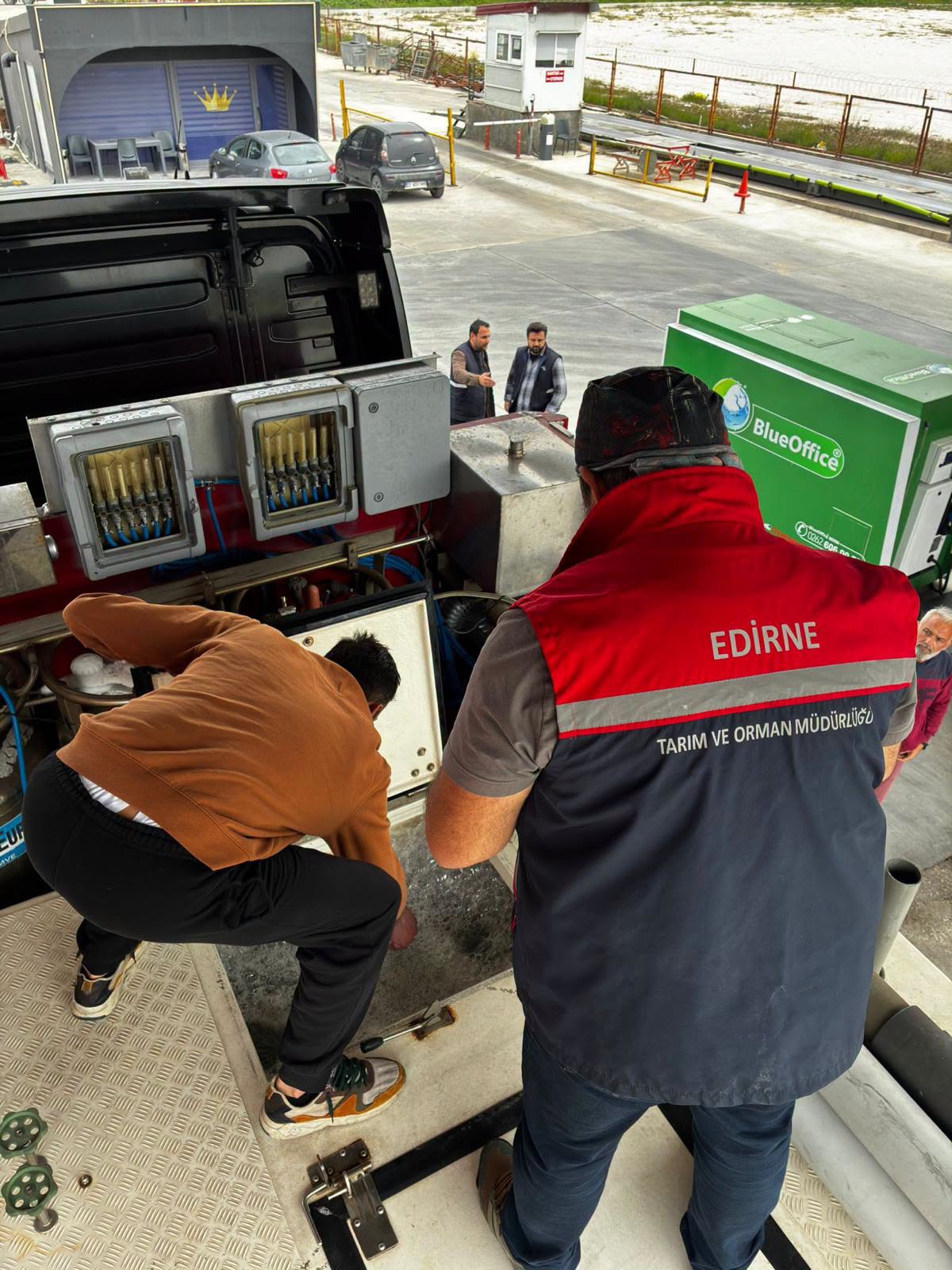 Türkiye'den Arnavutluk'a 350 Bin Yavru Levrek İhracatı Yapıldı