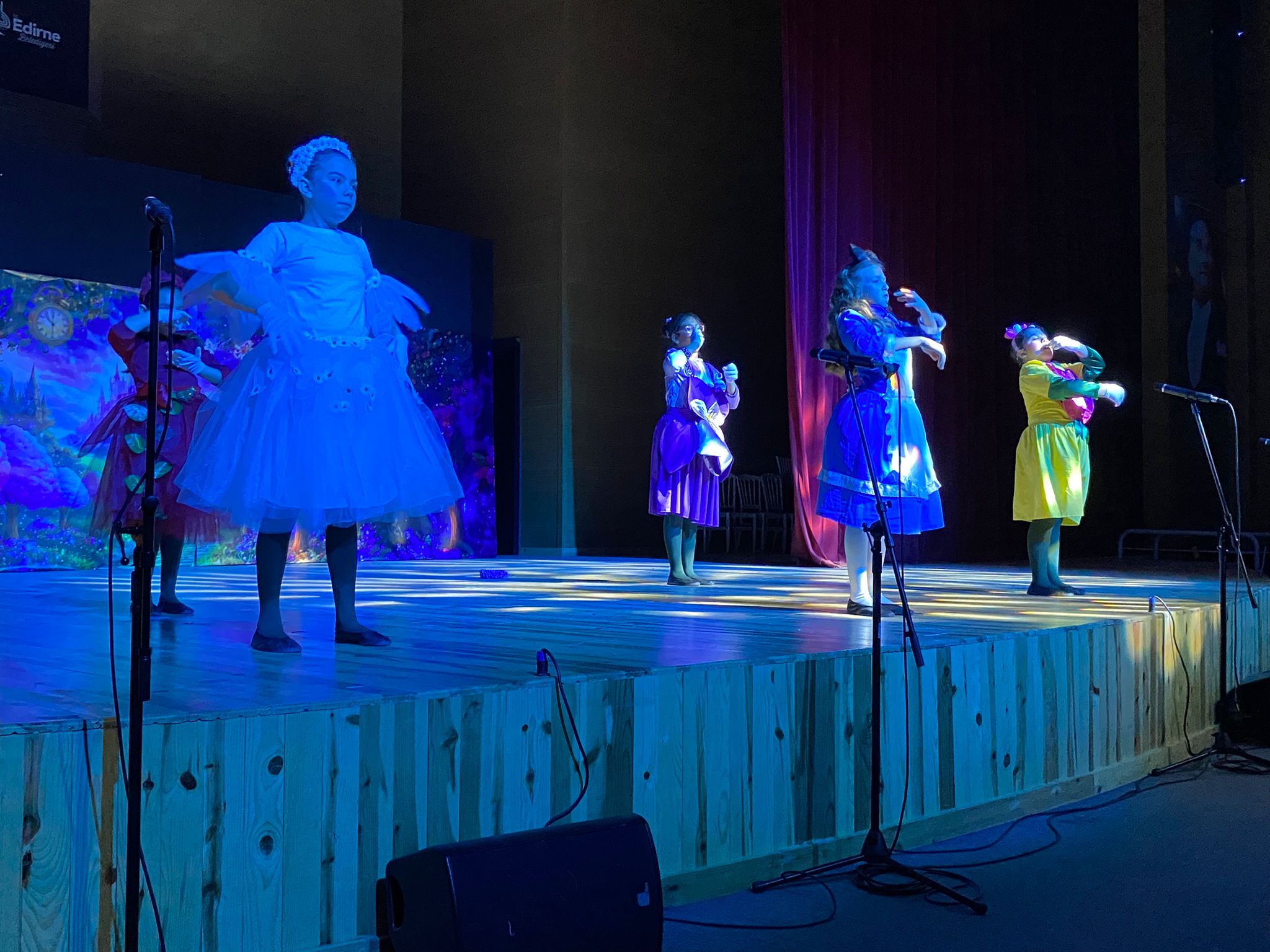Minik Yıldızlar Sahneyi Büyüledi:  “Alis’in Harikalar Diyarı”na Yoğun İlgi