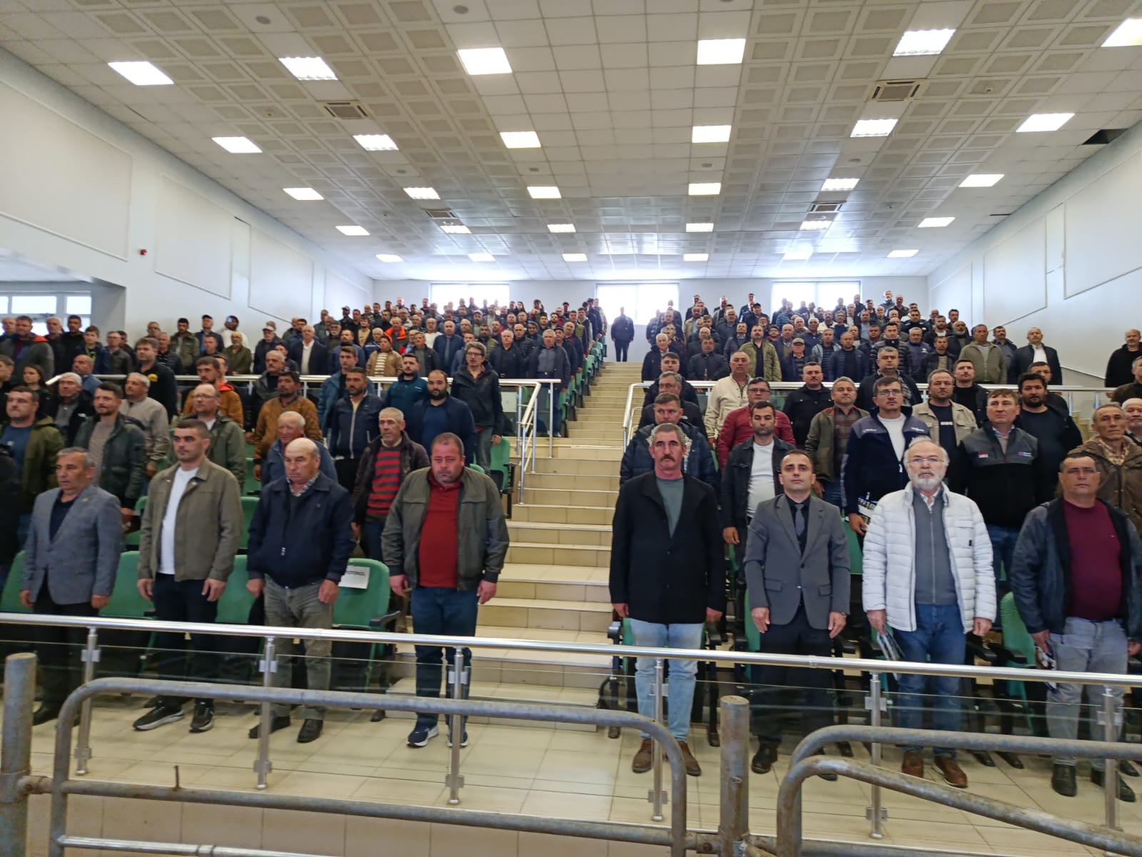 Koç ve Tekeler Yarıştı: Edirne’de Büyük Mezat