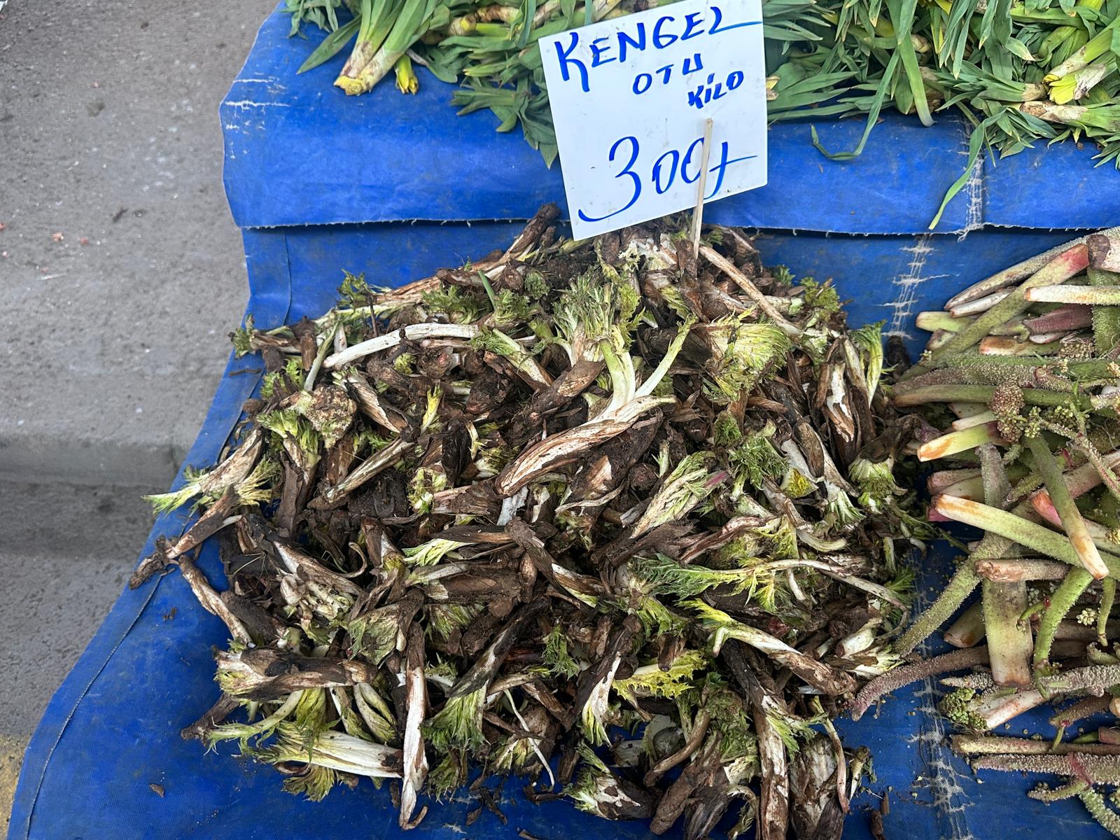 Doğu ve batı Edirne'de pazar tezgahında buluştu! Kilosu 400 TL'yi bulan otlara ilgi yoğun