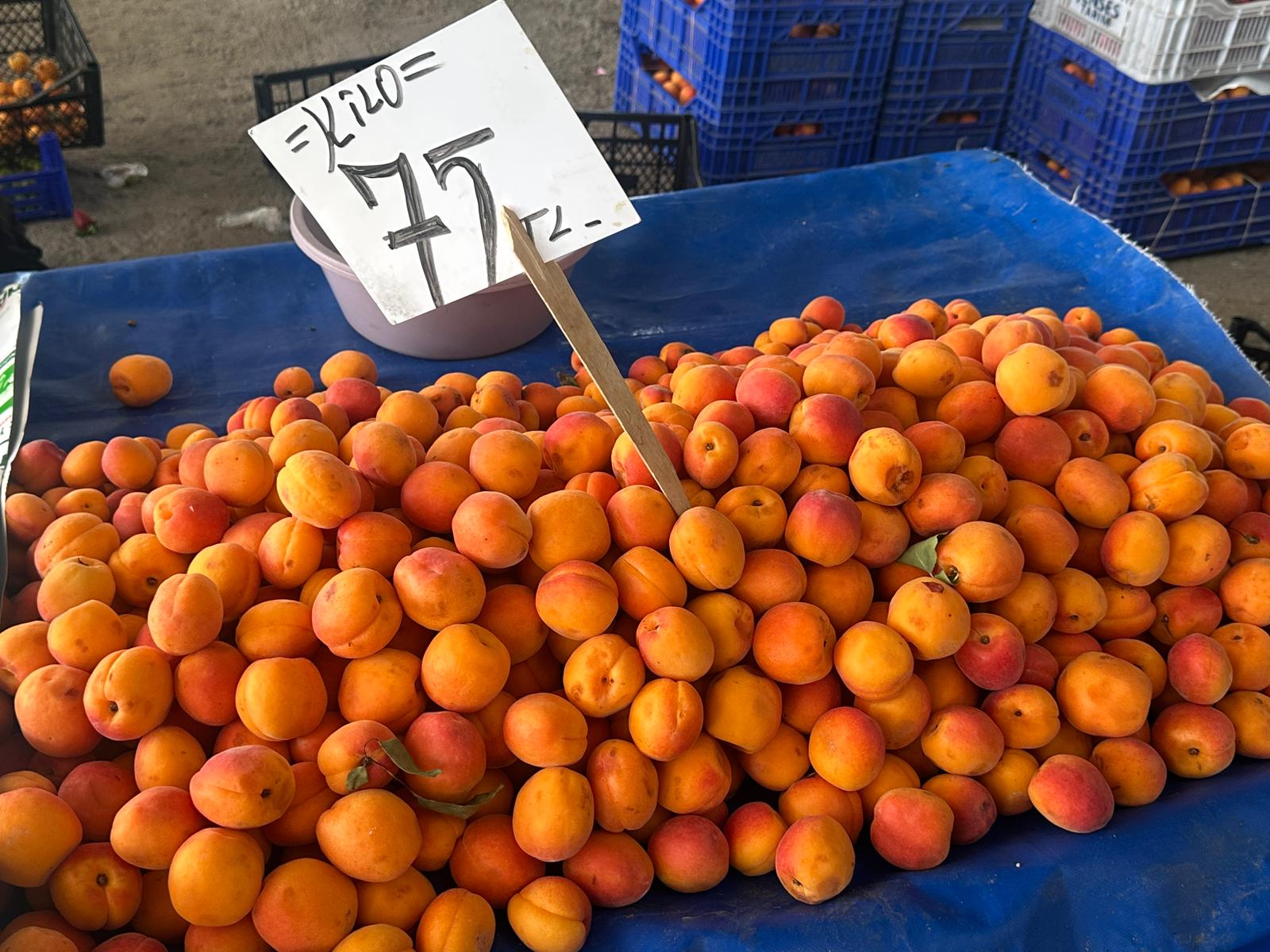 Doğu ve batı Edirne'de pazar tezgahında buluştu! Kilosu 400 TL'yi bulan otlara ilgi yoğun