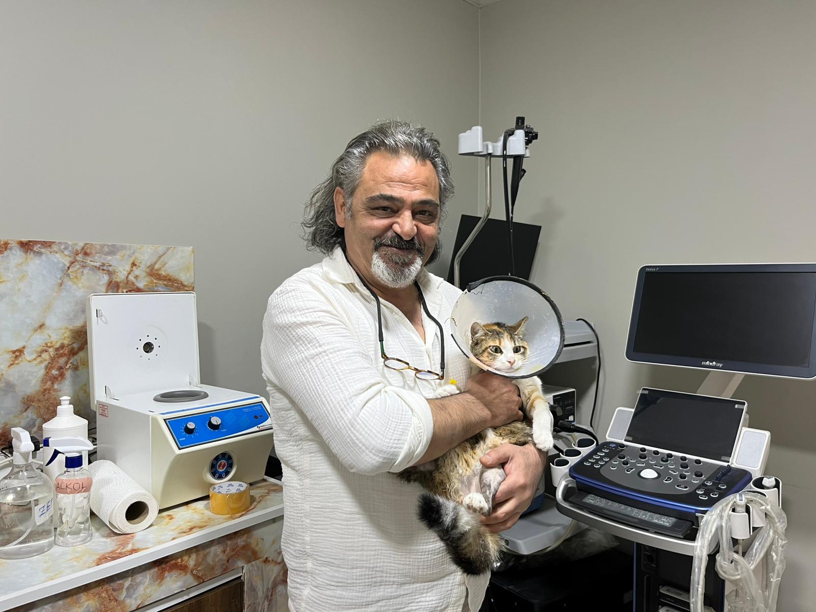 Kedi ve köpeklerde mikroçip uygulaması artık zorunlu! Peki, bu dijital kimlikler hayvan sağlığına zararlı mı?