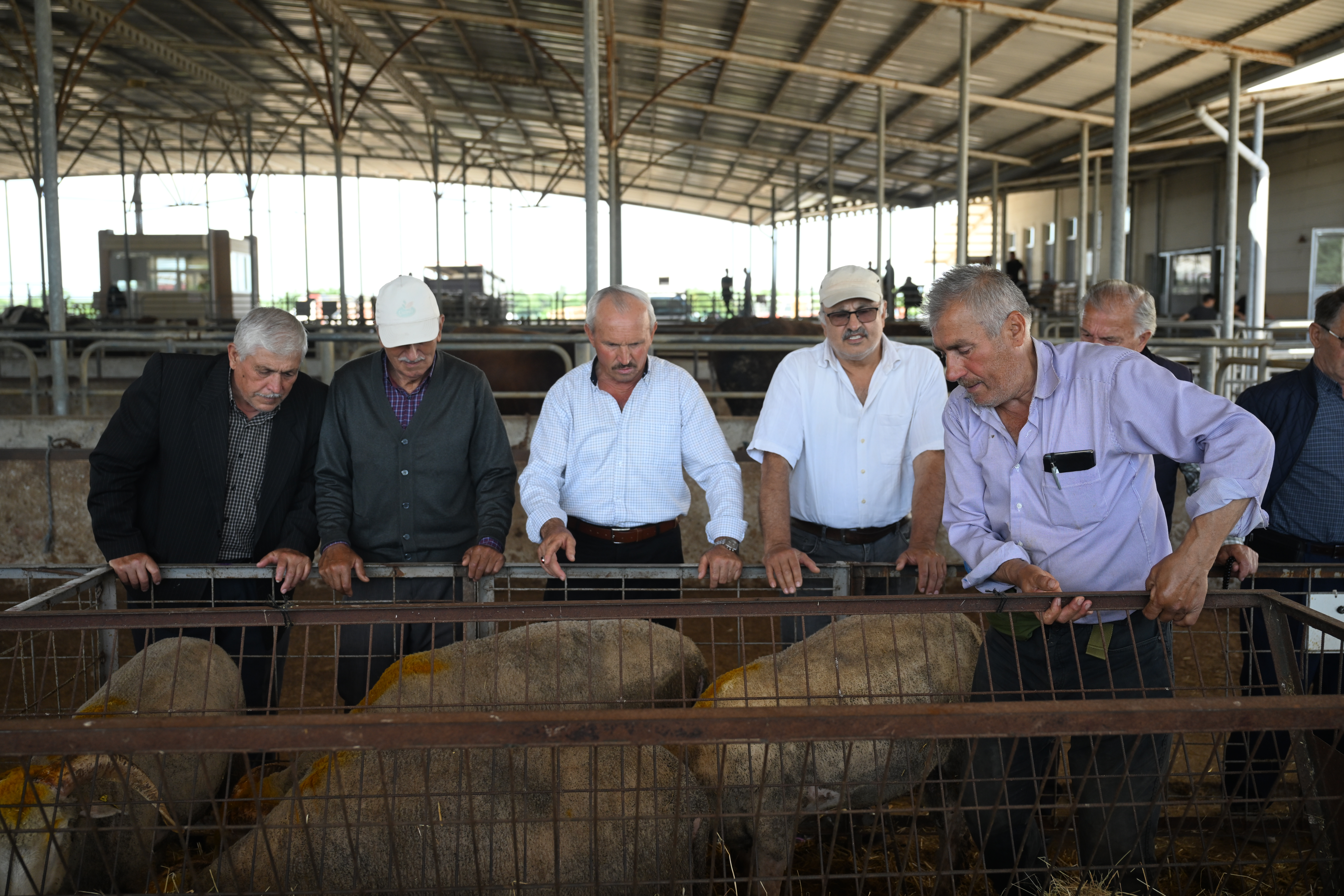Edirne'de kurbanlık satış alanları denetlendi
