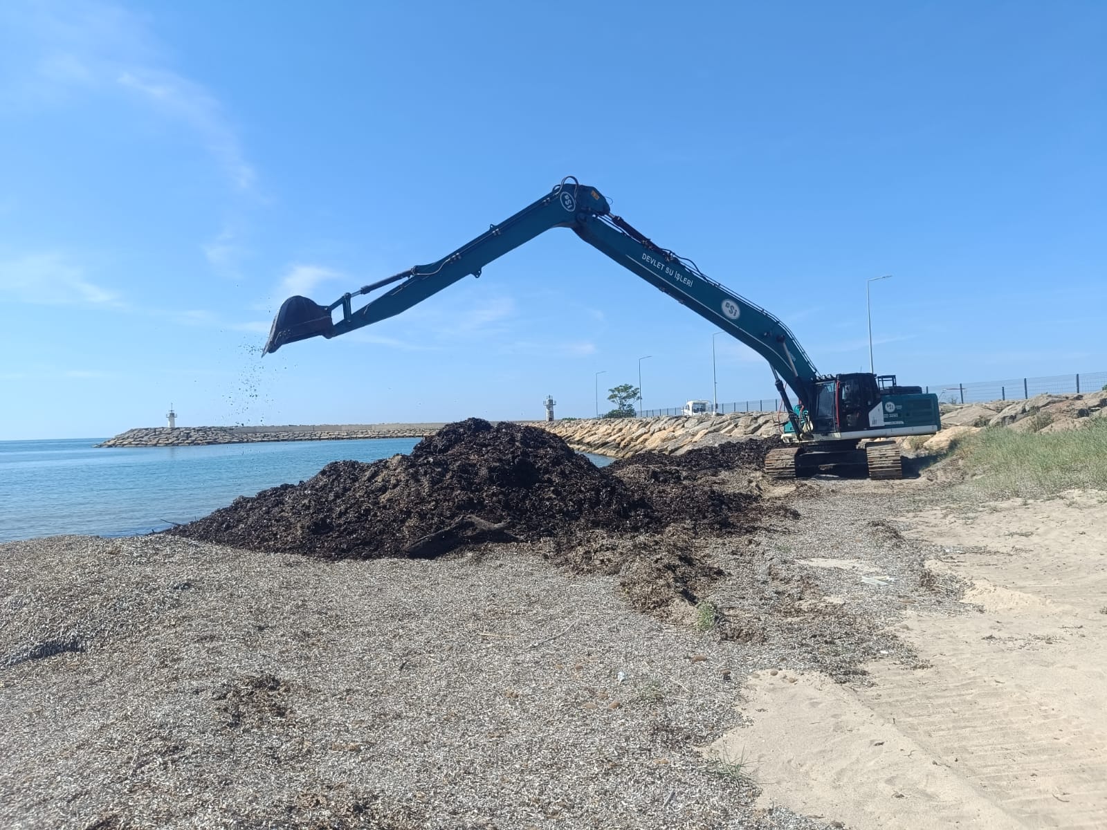 Edirne'de Sultaniçe sahilinde temizlik çalışması yapıldı