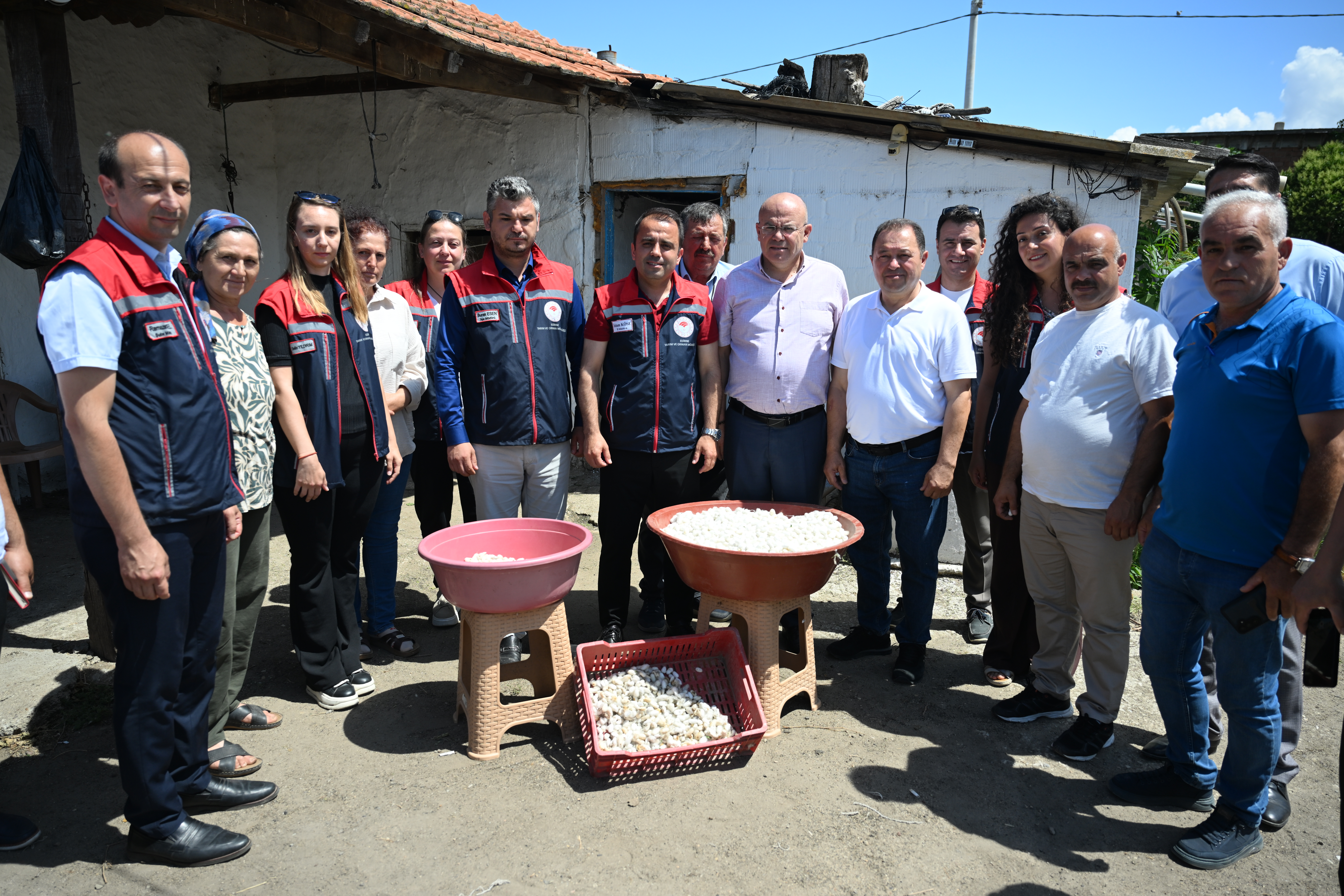 İpekböcekçiliği Edirne’de kadınlarla yeniden canlanıyor