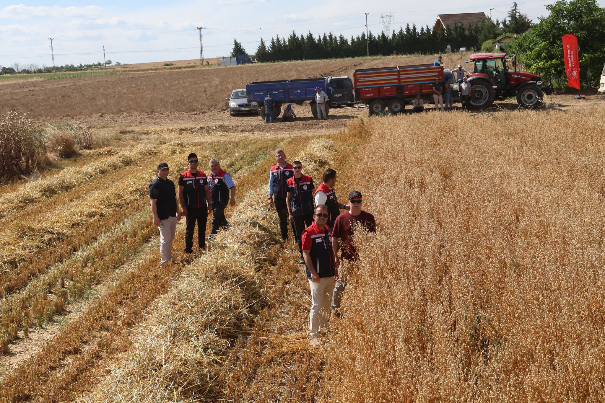 Yerli ve Milli Yulaf Çeşitleri Edirne’de Hasat Edildi