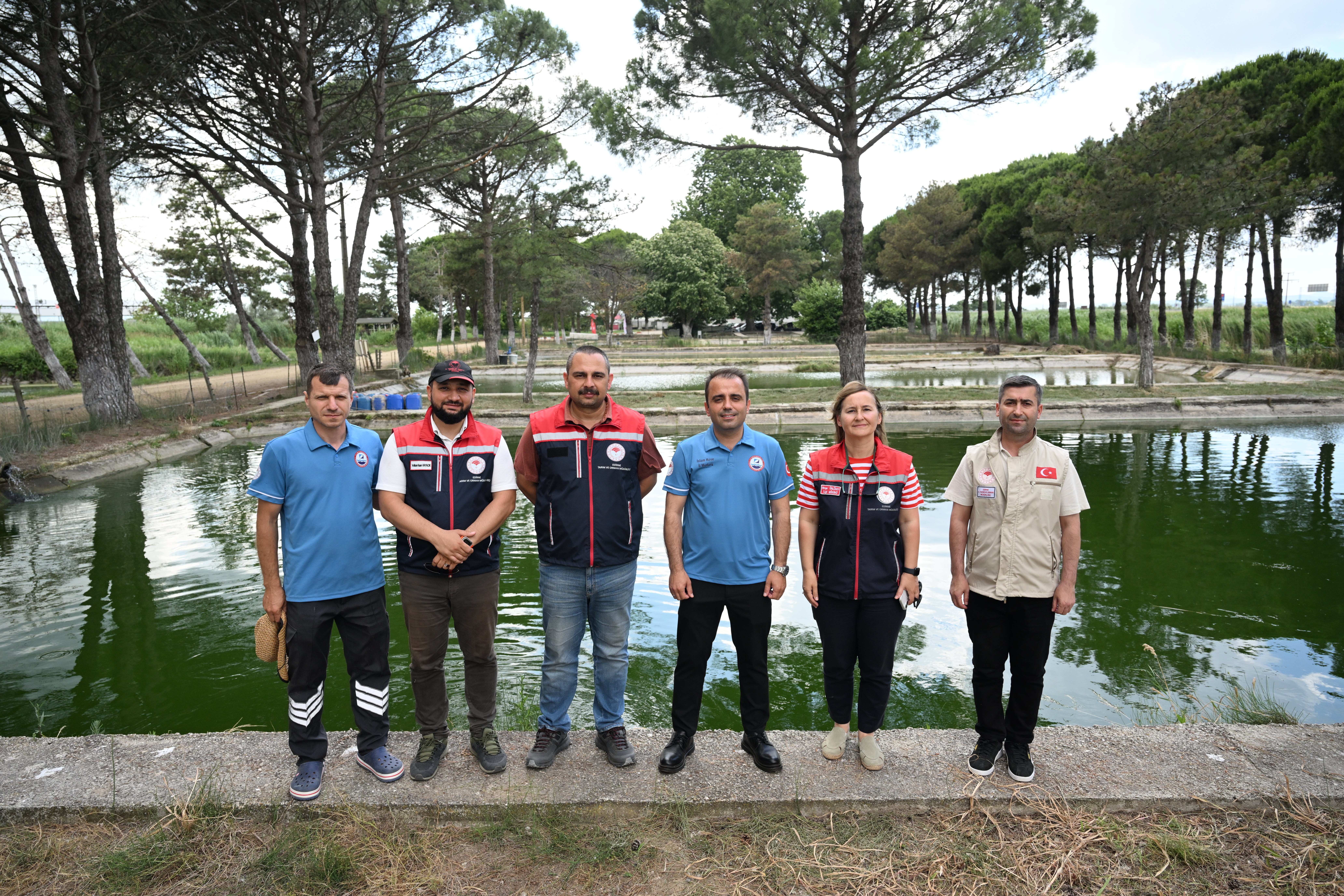 Edirne'de üretilen 40 milyon sazan bölgedeki sularla buluştu