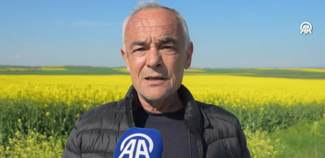 Edirne'de kuraklığa karşı alternatif olarak desteklenen kanola üretimi, 2026 sezonunda 95 bin dekar ekim alanıyla rekor kırdı. Bakanlık destekleri ve uygun yağışlar, verim beklentisini zirveye taşıdı.